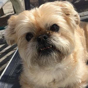 Meet your Posher, Kristie